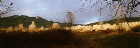 A white line of ghost trees borders the base of Taos Mountain in the winter time.